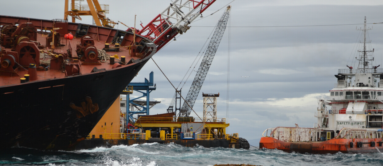 “飛鴿手扳葫蘆海事檢驗中的應用